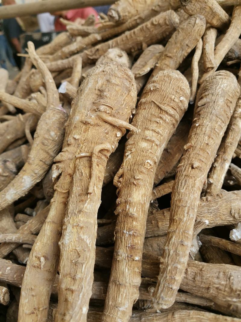 香料白芷个子中药白芷片亳白芷通货白芷条子带硫白芷无硫白芷