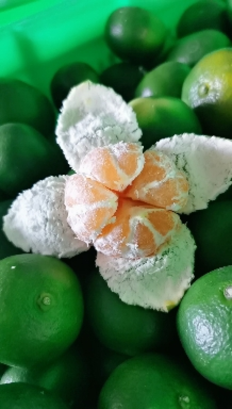 精品湖北特早蜜橘产地直发纯甜化渣对接电商商超团购
