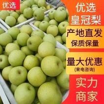 【优选】河北青皇冠梨，产地直供，口感翠甜皮薄汁多价