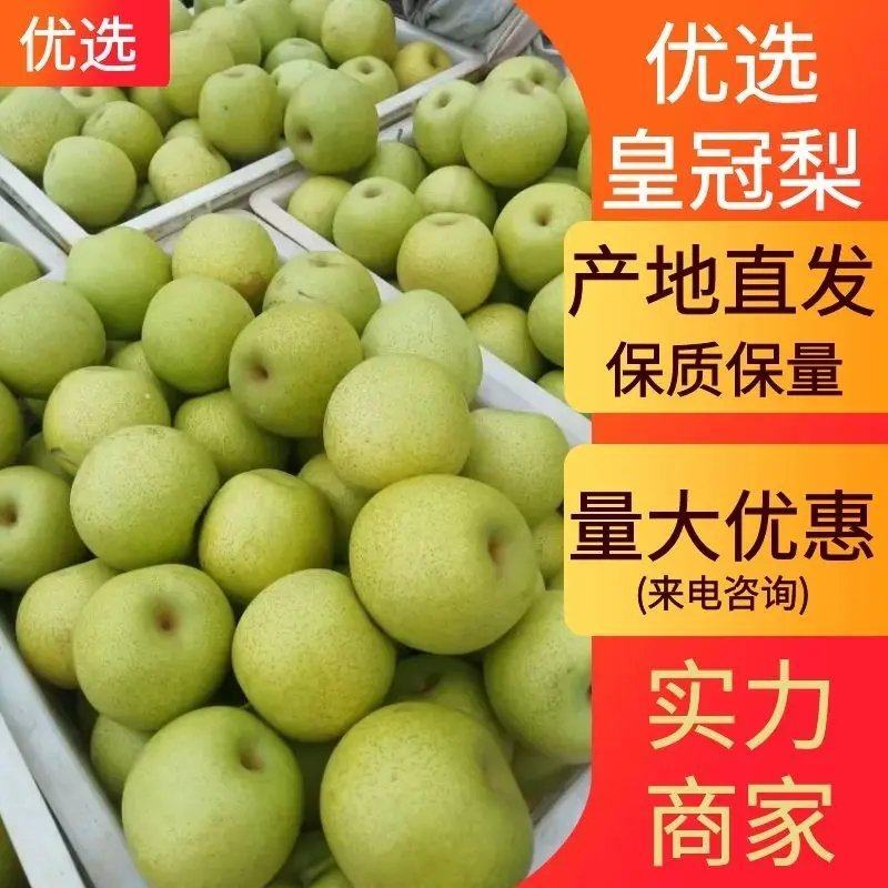 【优选】河北青皇冠梨，产地直供，口感翠甜皮薄汁多价