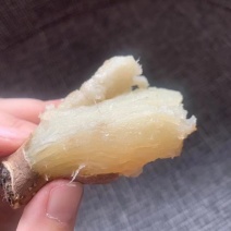 沙土地种植高端冰糖心蜜薯白哈蜜红薯地瓜基地直供电商平台