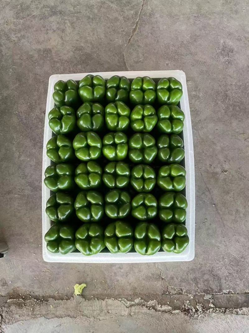 太空椒，菜椒，圆椒，大量上市，质量好，保质保量，欢迎采购