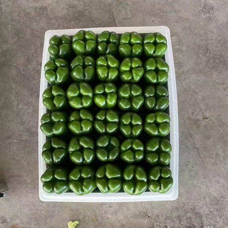 太空椒，菜椒，圆椒，大量上市，质量好，保质保量，欢迎采购