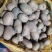 【推荐】黄皮黄心秋冬季土豆种子品质保证诚信为本，欢迎合作