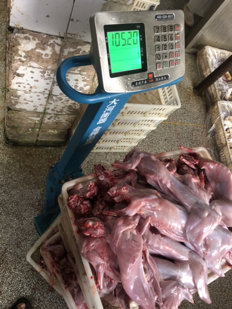 自家农场常年供应保鲜、冷冻兔肉