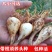 荞头种子藠头种农家自种荞头种荞头现挖种植茭头现挖新鲜