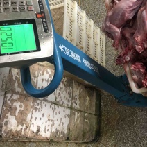 长期供应保鲜、冷冻兔肉