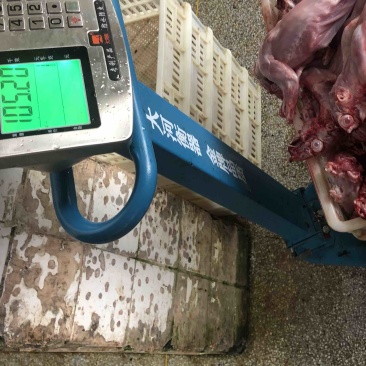 长期供应保鲜、冷冻兔肉
