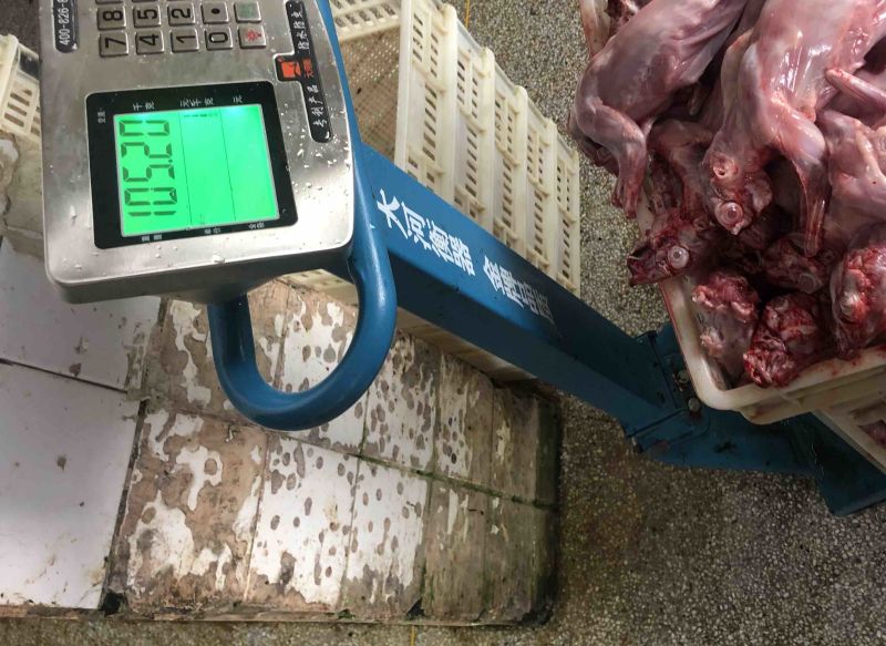 长期供应保鲜、冷冻兔肉
