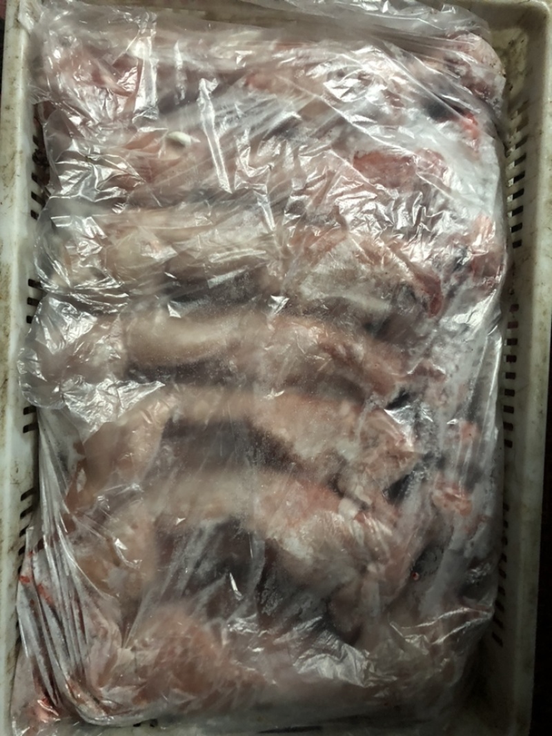 长期供应保鲜、冷冻兔肉