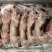 长期供应保鲜、冷冻兔肉