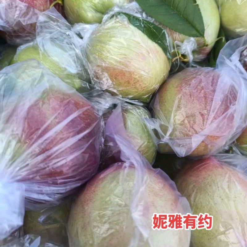 西北利核油桃，色好个大口感脆甜，需要的联系