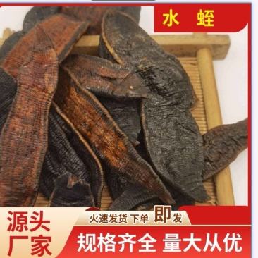 批发中药材水蛭蚂蟥货足干水蛭粉规格齐全