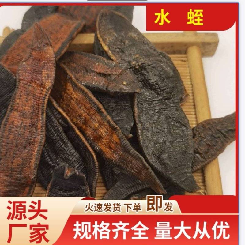 批发中药材水蛭蚂蟥货足干水蛭粉规格齐全