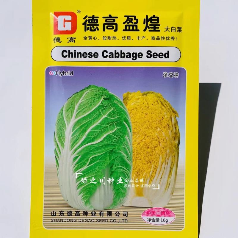 德高盈煌大白菜种子全黄心大白菜种子早熟性好抗根肿病强