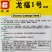龙福1号绍菜种子黄心早熟一代杂交抗病龙芽菜种子大白菜种子