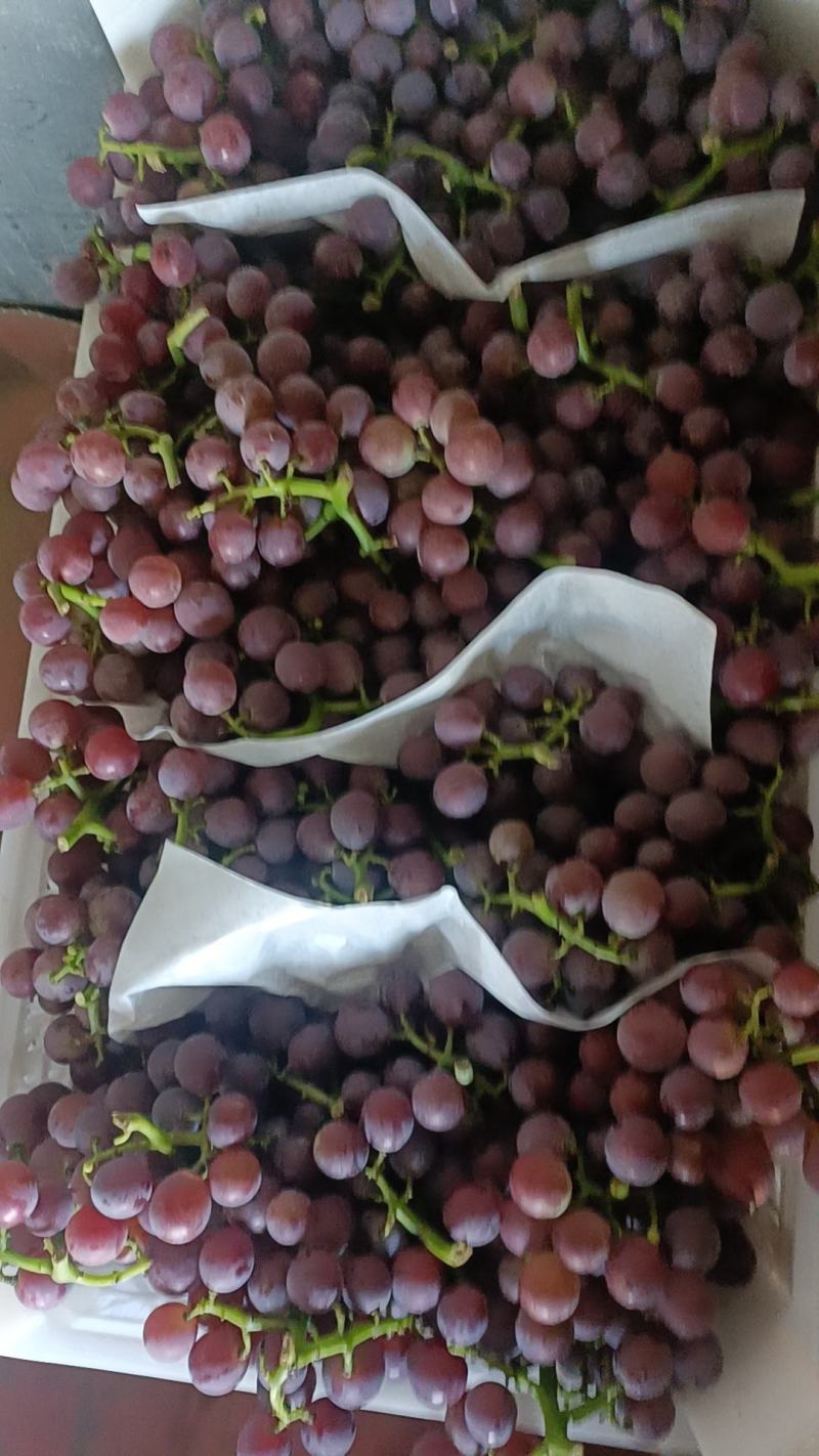 超甜精品巨峰葡萄