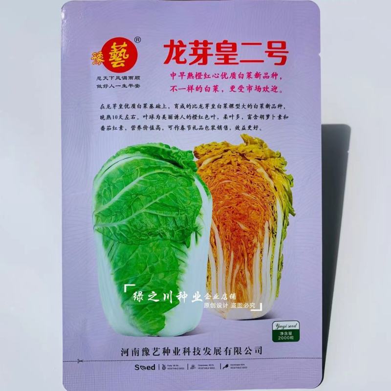豫艺龙芽皇二号白菜种子橘红心大白菜种子营养价值高抗病