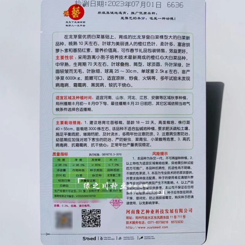 豫艺龙芽皇二号白菜种子橘红心大白菜种子营养价值高抗病