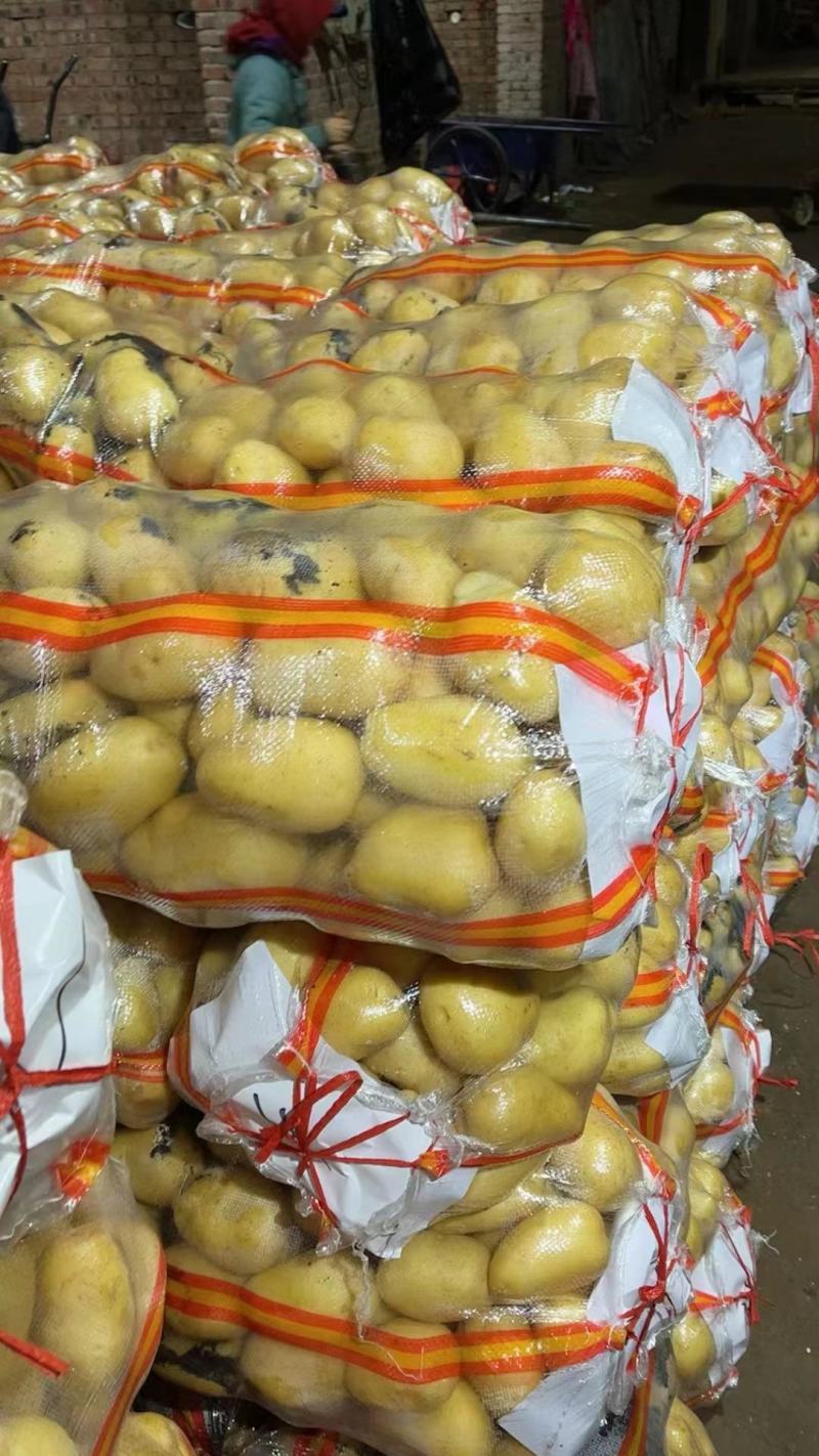 热卖精品土豆，产地大降价，质优价廉，专业土豆代办