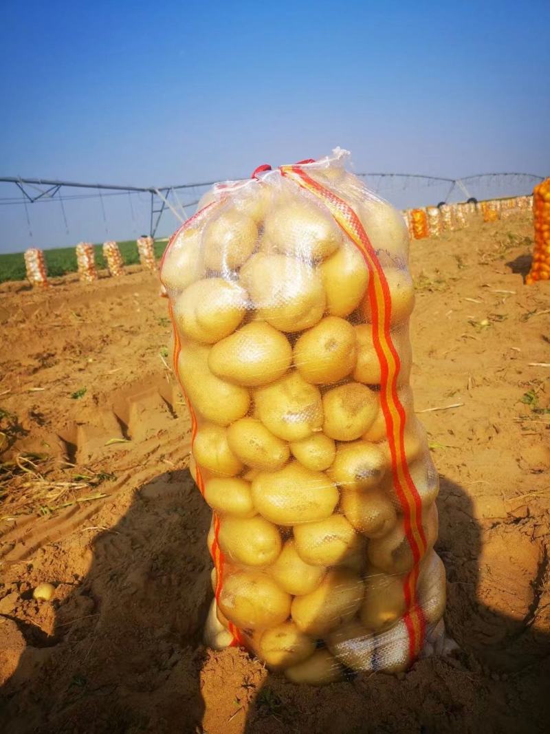 热卖精品土豆，产地大降价，质优价廉，专业土豆代办