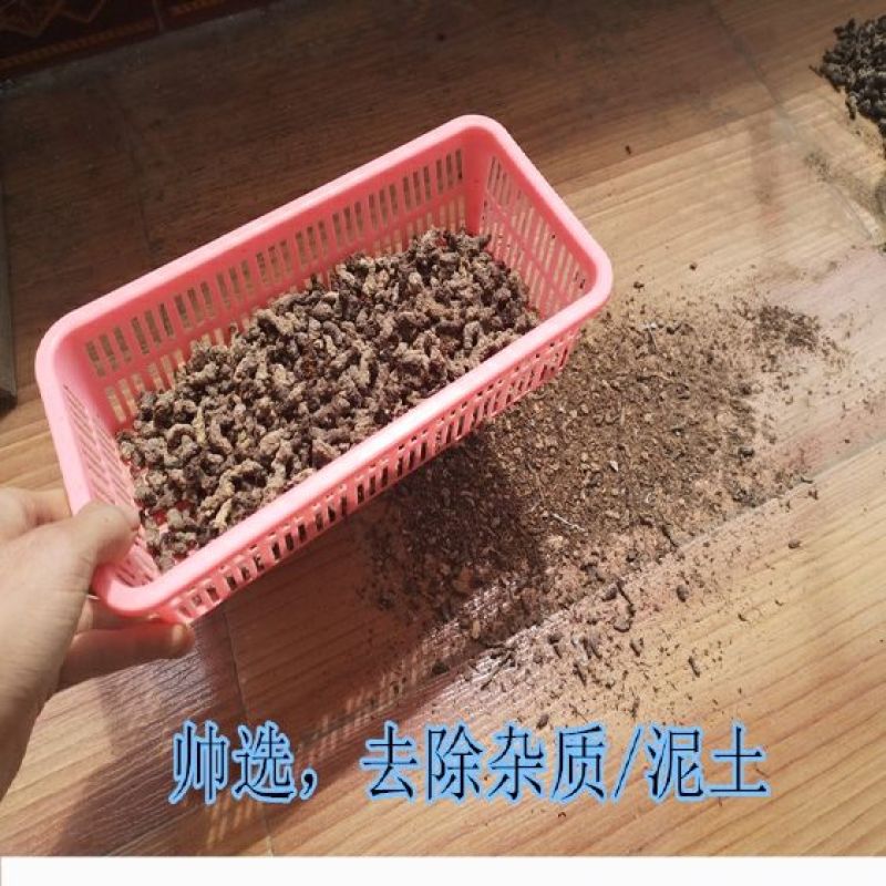 天葵子中药材紫背天葵子千年老鼠屎金耗子屎地丁子