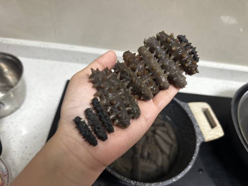 纯淡干小刺参的海参辽参发头好价格优惠