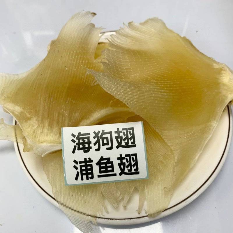 海狗翅浦鱼翅天九鱼翅各种规格齐全一手货源