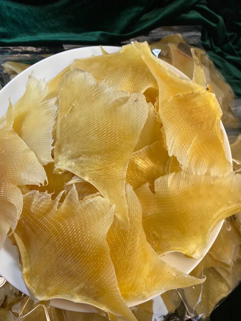 海狗翅浦鱼翅天九鱼翅各种规格齐全一手货源