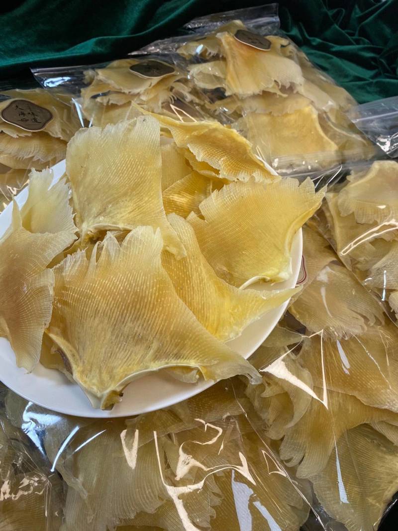 海狗翅浦鱼翅天九鱼翅各种规格齐全一手货源