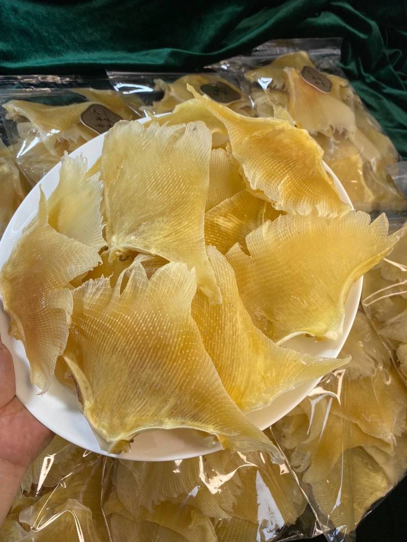 海狗翅浦鱼翅天九鱼翅各种规格齐全一手货源