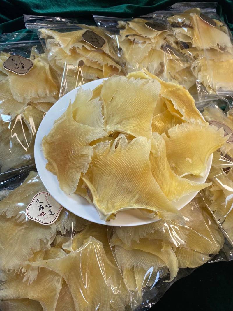 海狗翅浦鱼翅天九鱼翅各种规格齐全一手货源
