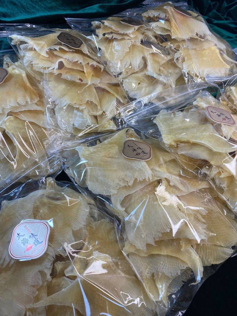 海狗翅浦鱼翅天九鱼翅各种规格齐全一手货源