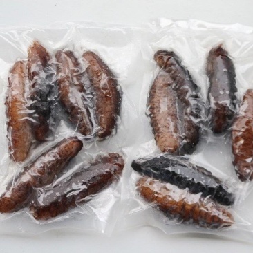 即食土耳其海参，个头大，营养丰富，各种规格齐全