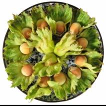 辽宁大榛子大量有货，通货，达维，玉坠，支持一件代发