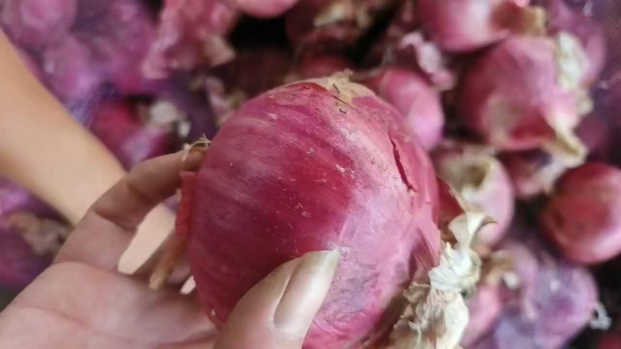 红椒洋葱特写