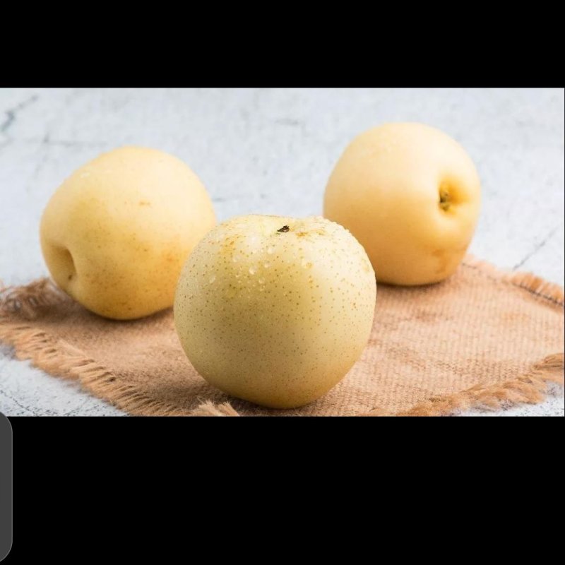黄金梨