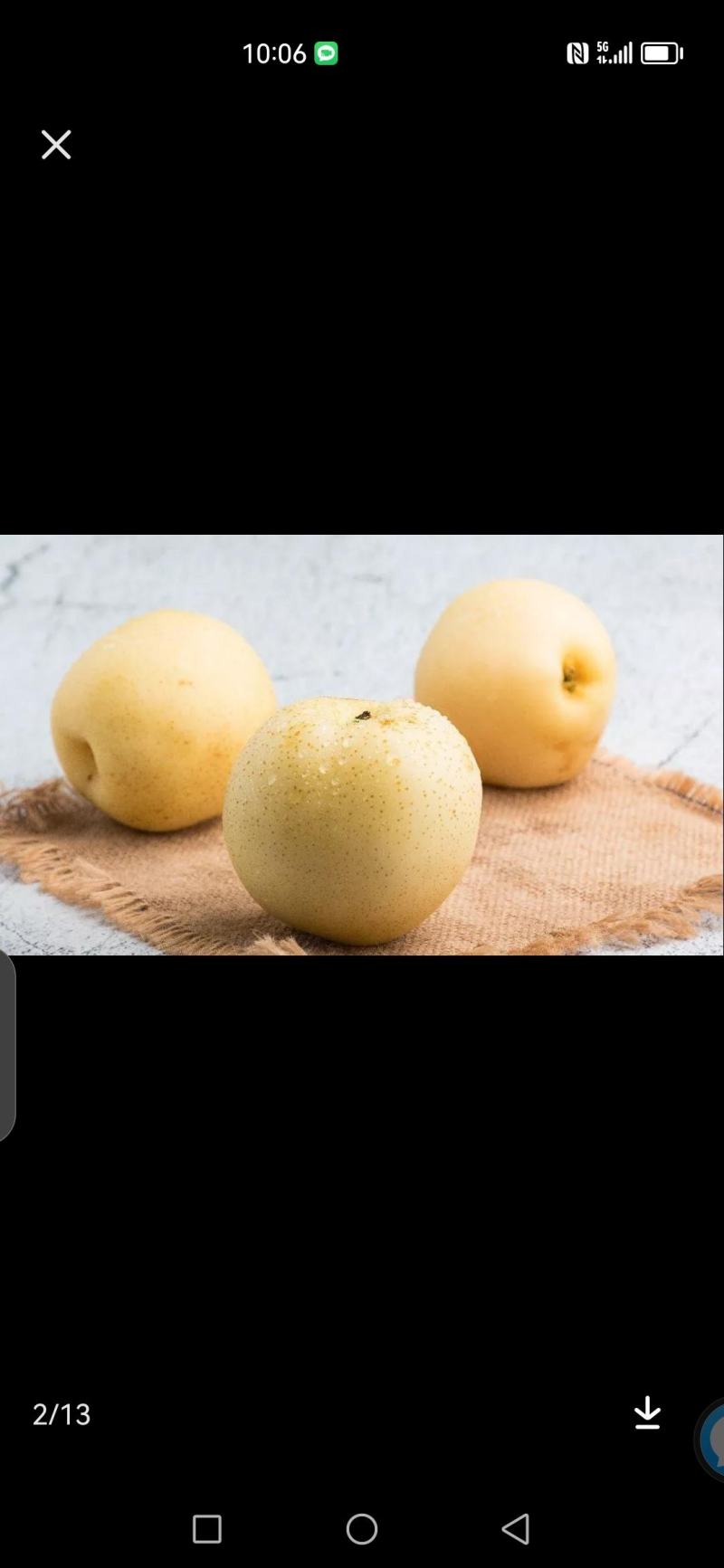 黄金梨