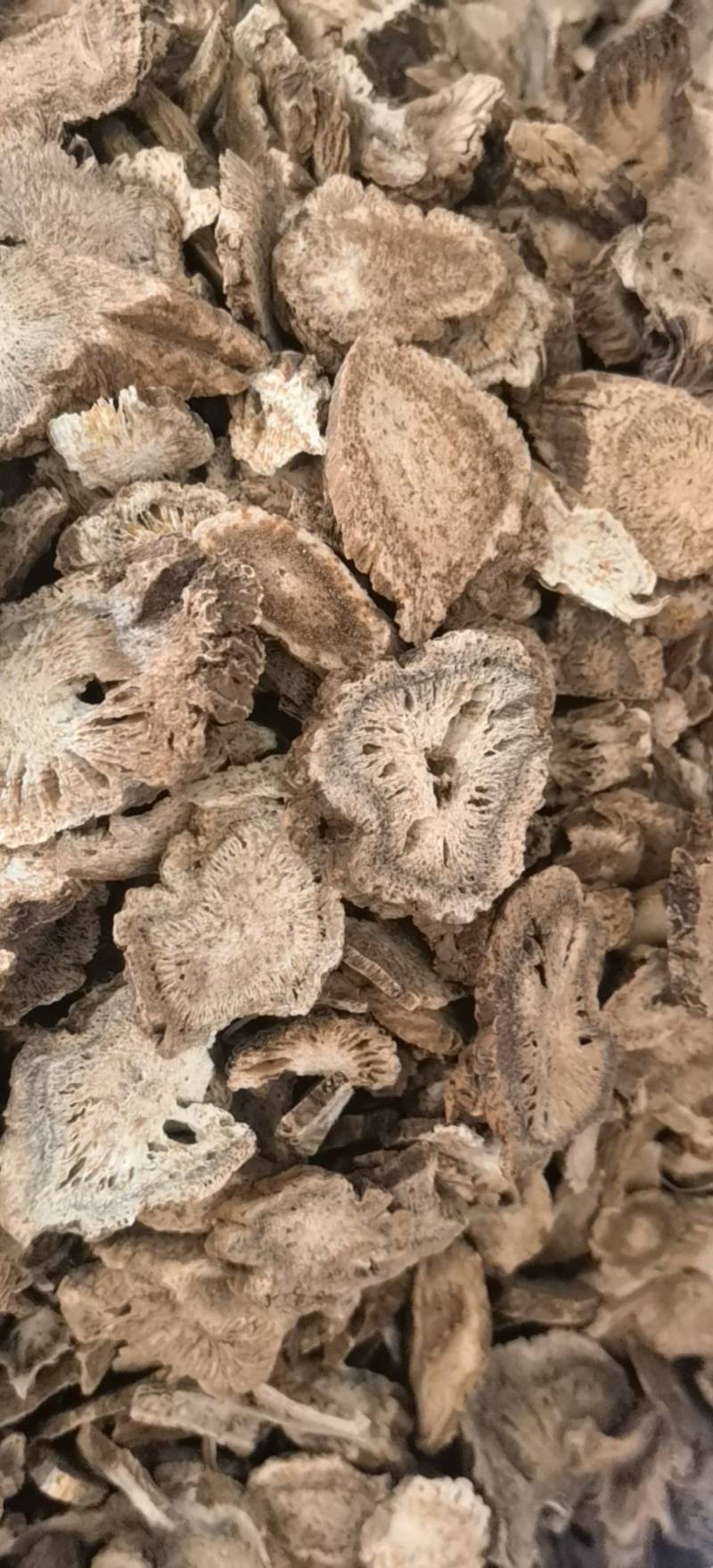 木香云木香新货选关书药业批发中药材