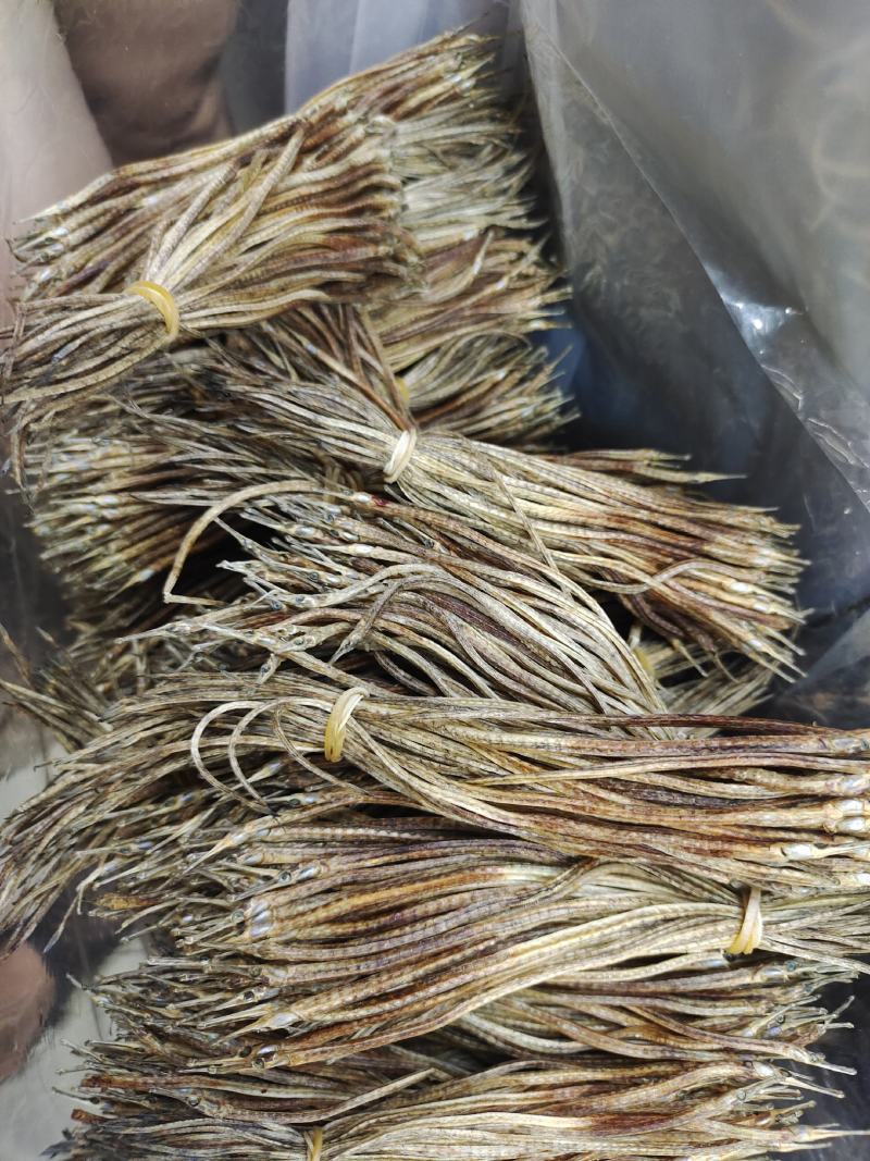 海龙小海龙可泡酒可煲汤包邮