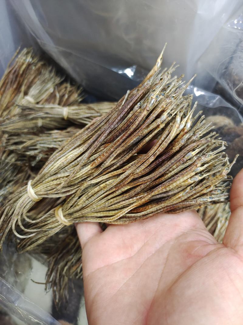 海龙小海龙可泡酒可煲汤包邮
