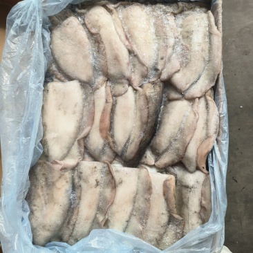 墨鱼大墨鱼干墨鱼无泡水墨鱼乌贼大乌贼300/400400