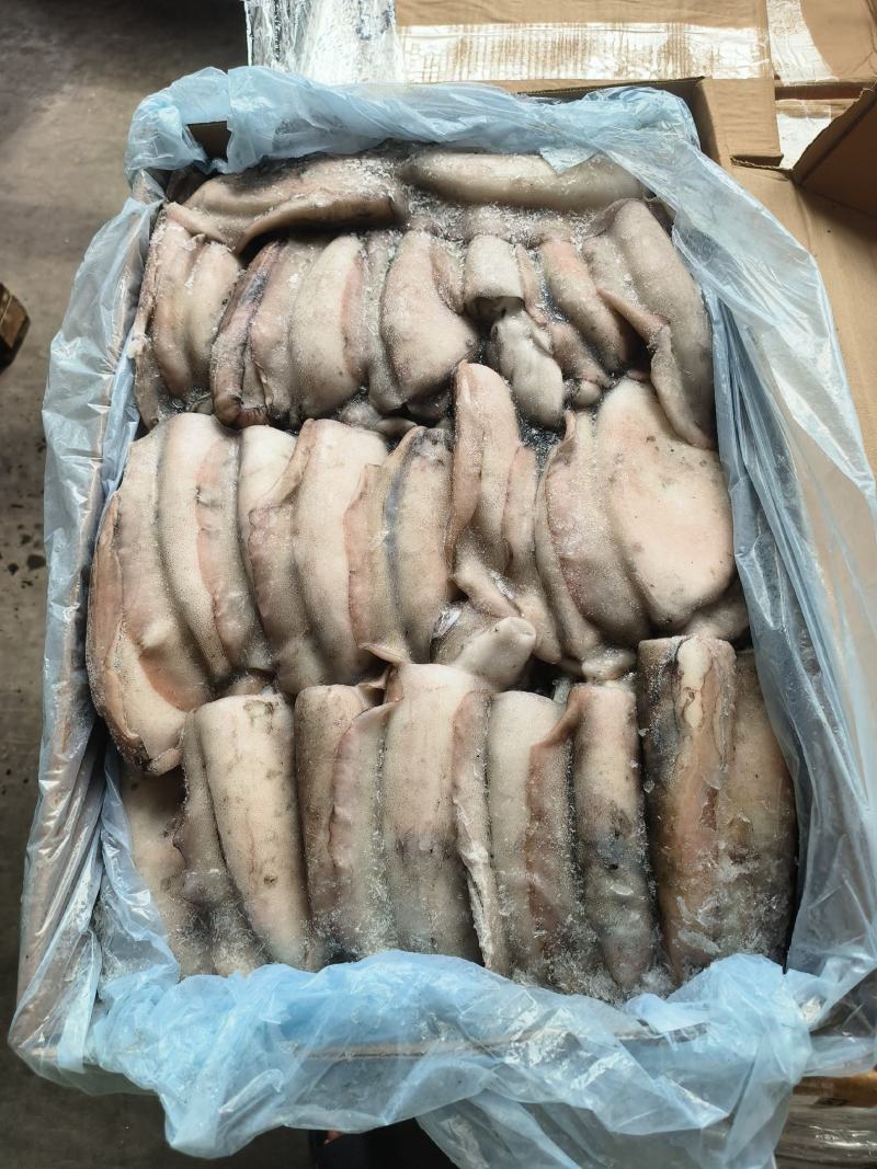 墨鱼大墨鱼干墨鱼无泡水墨鱼乌贼大乌贼300/400400