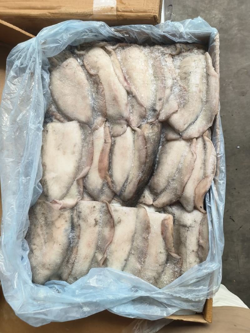 墨鱼大墨鱼干墨鱼无泡水墨鱼乌贼大乌贼300/400400