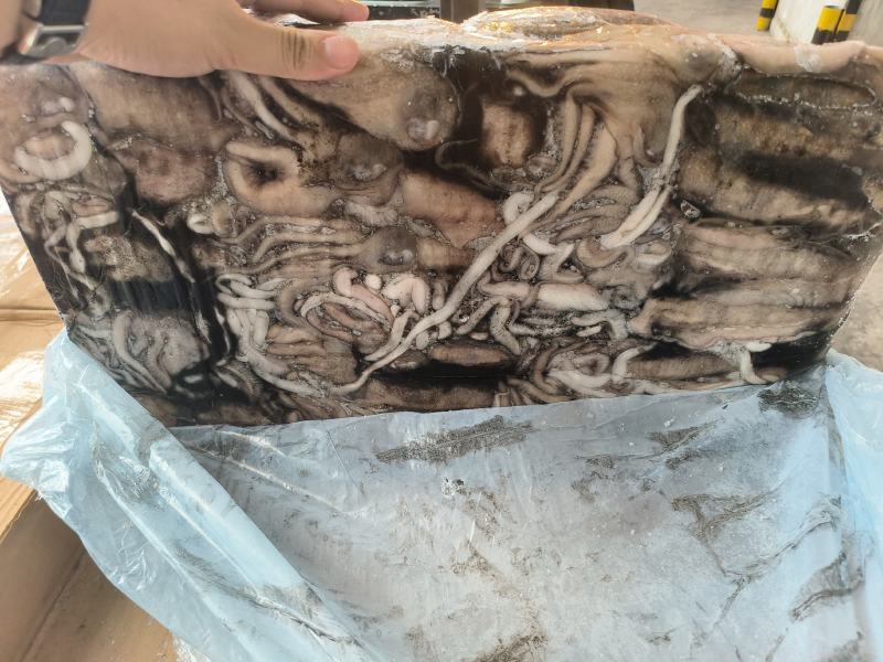 墨鱼大墨鱼干墨鱼无泡水墨鱼乌贼大乌贼300/400400