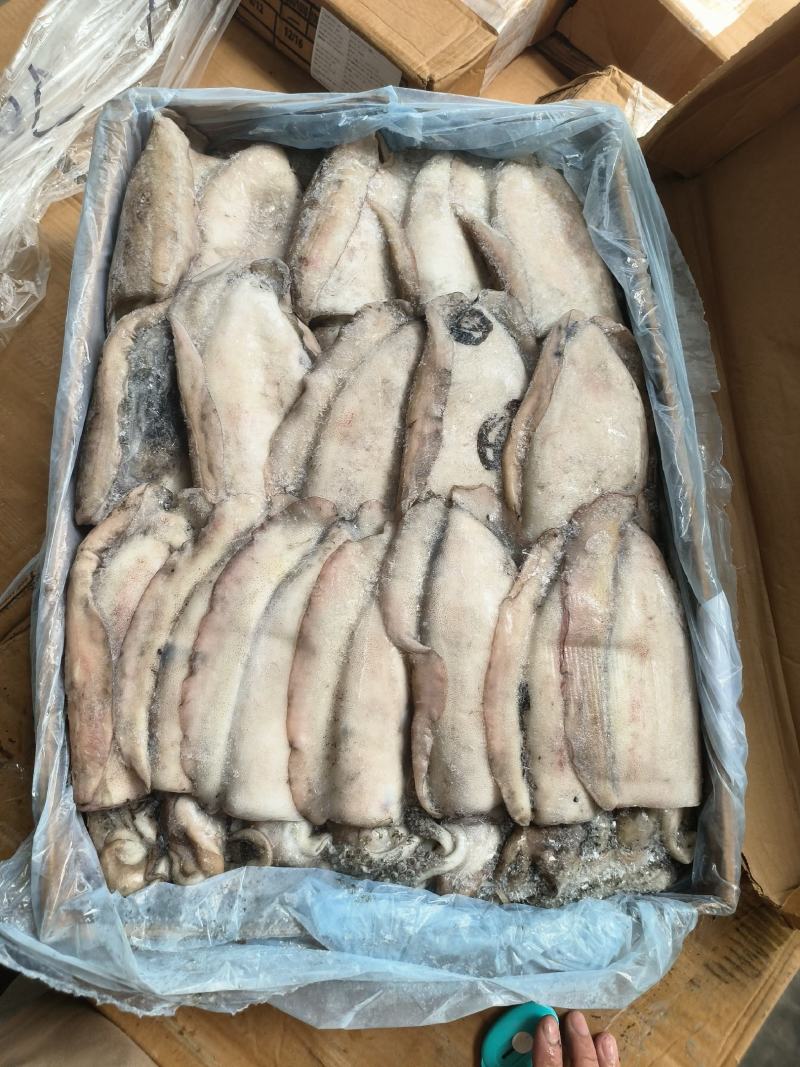 墨鱼大墨鱼干墨鱼无泡水墨鱼乌贼大乌贼300/400400