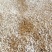 四川金堂新鲜花生红米花生两粒红新鲜花生水洗红米机洗花生