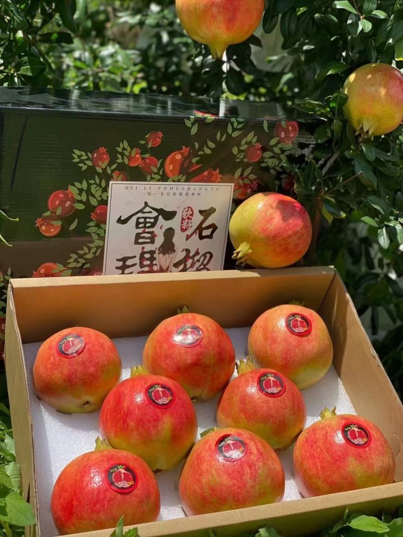 四川会理软籽石榴(突尼斯软子石榴)
