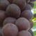 葡萄早熟季节水果开始上市
