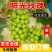【视频看货】辽宁阳光玫瑰大量上市产地直发全国市场欢迎来电
